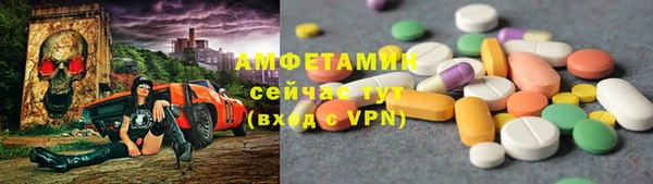 стаф Дмитров