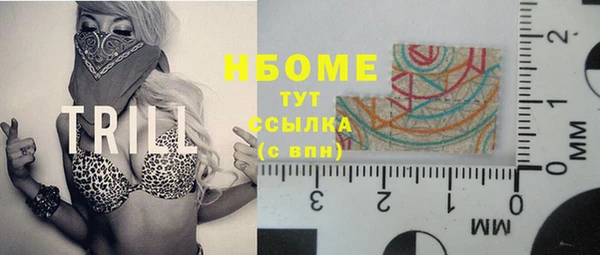 стаф Дмитров