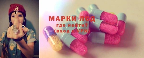 стаф Дмитров
