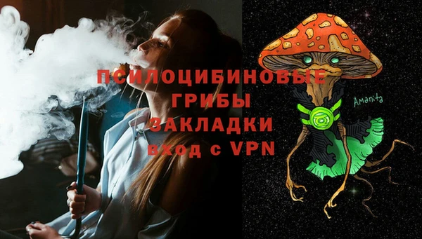 2c-b Дмитриев