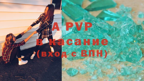стаф Дмитров