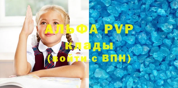 стаф Дмитров