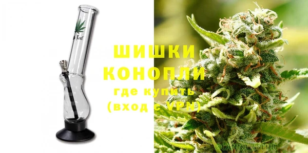 стаф Дмитров