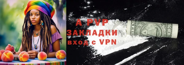 стаф Дмитров