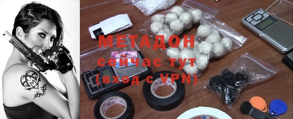 стаф Дмитров