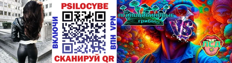 кракен как войти  Санкт-Петербург  Псилоцибиновые грибы ЛСД  как найти  